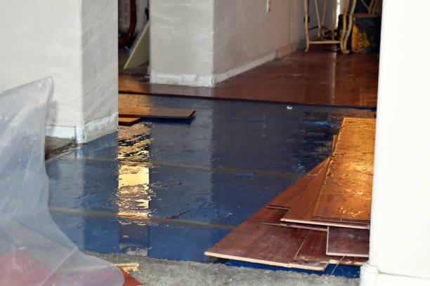 Professional Basement Flood Cleanup technician working in Anderson, MO